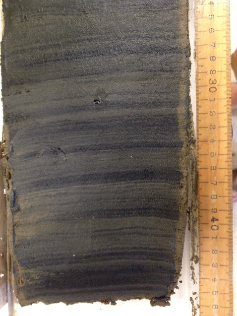 Behold, the sediment core.